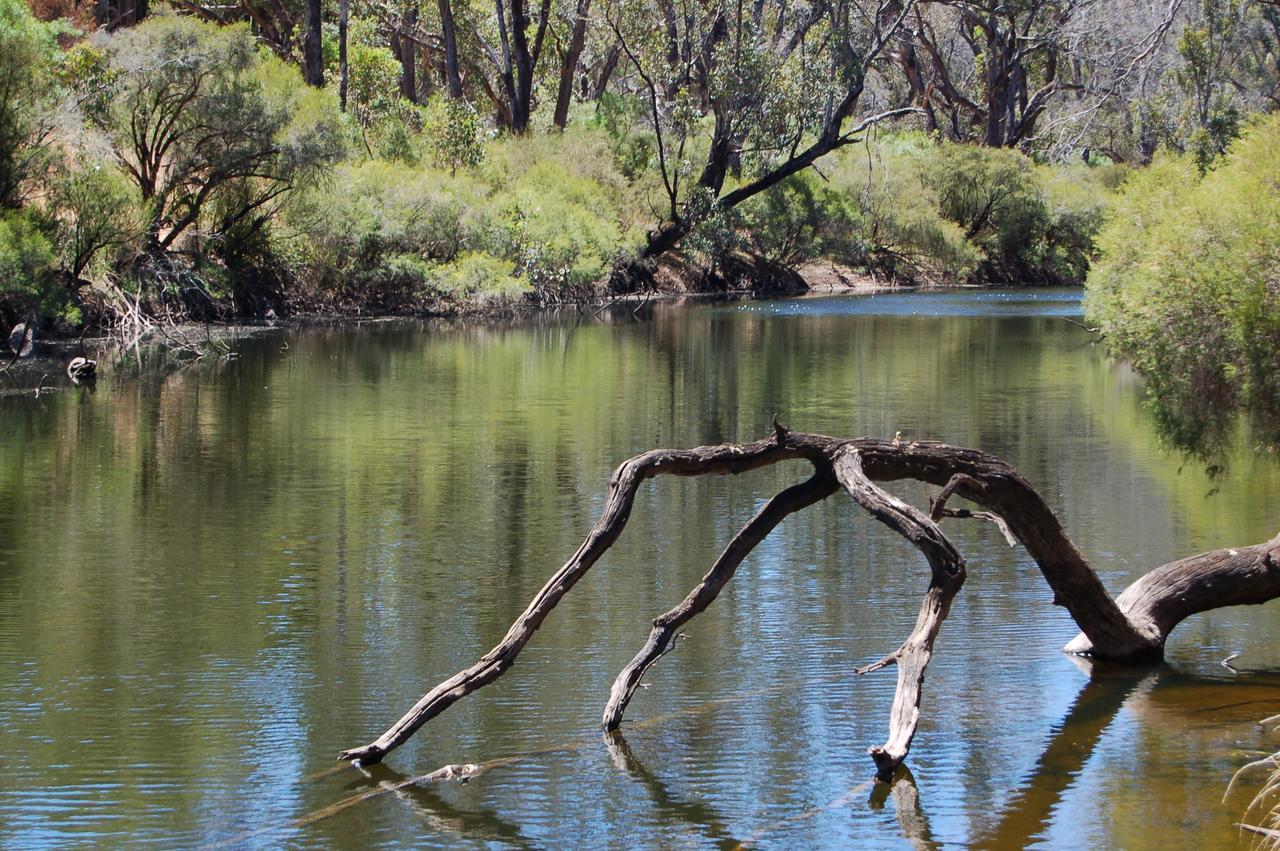 Beyonderup Falls Adult Retreat Nannup Zimmer foto